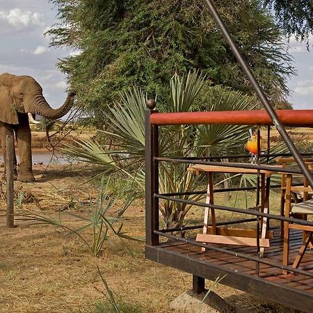 Hotel Ashnil Samburu Camp Exterior foto