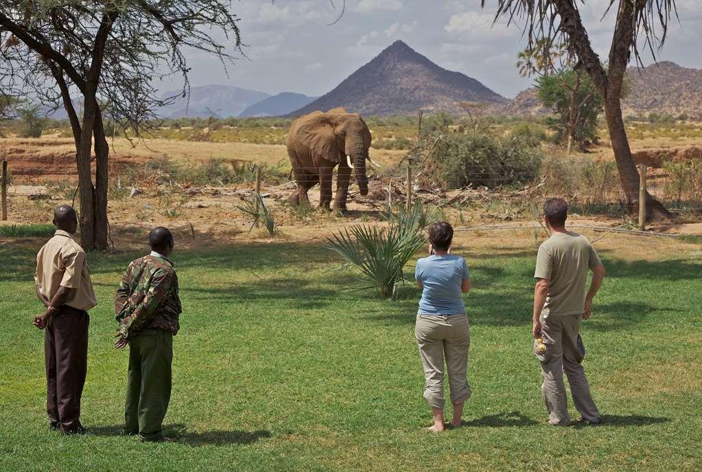 Hotel Ashnil Samburu Camp Exterior foto