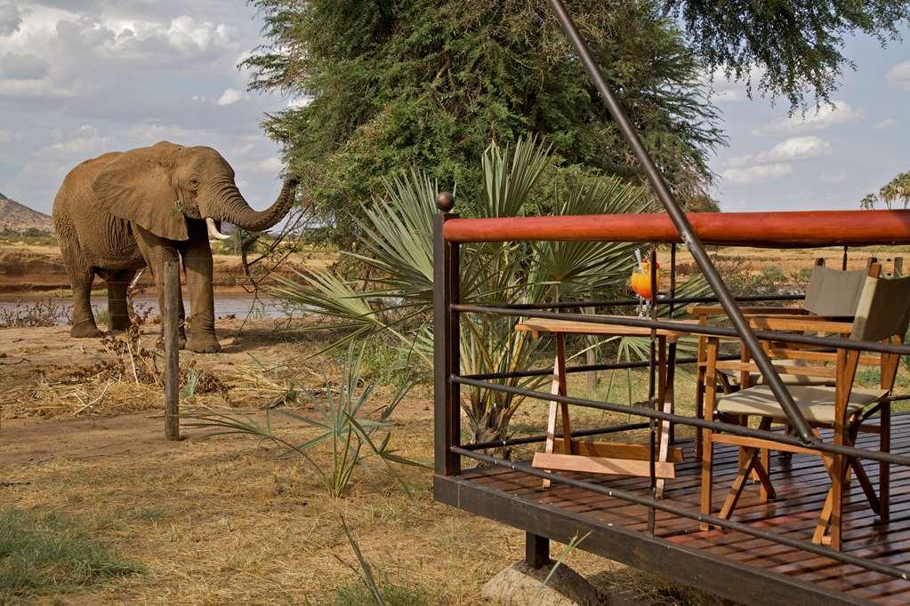 Hotel Ashnil Samburu Camp Exterior foto