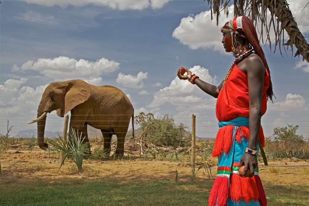 Hotel Ashnil Samburu Camp Einrichtungen foto